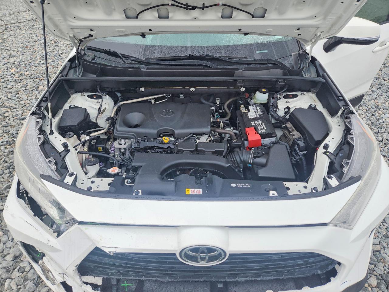 2019 TOYOTA RAV4 XLE PREMIUM photo 12