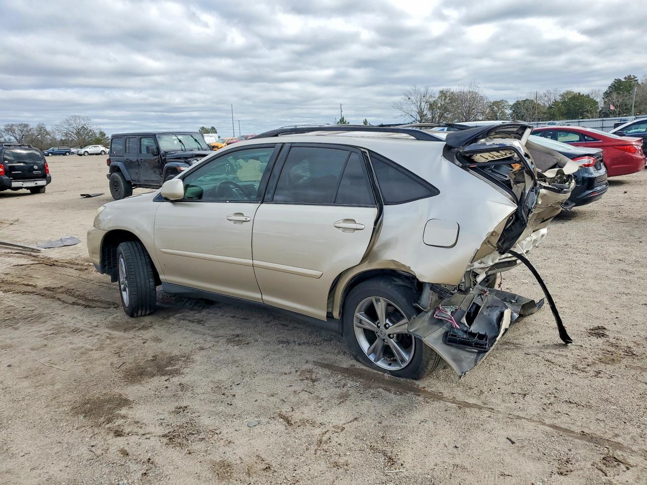 2006 LEXUS RX photo 2