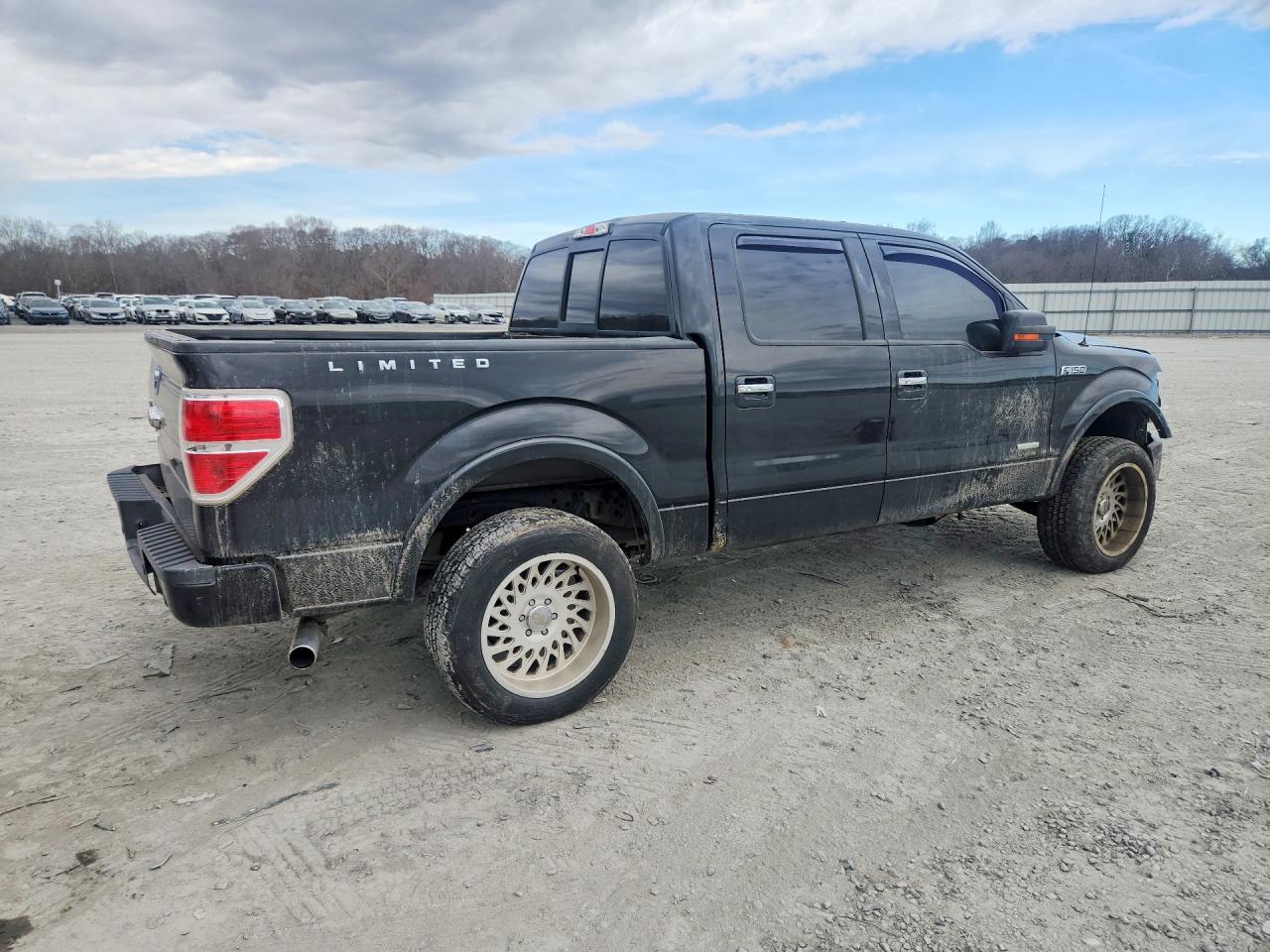 2014 FORD F150 SUPERCREW photo 7
