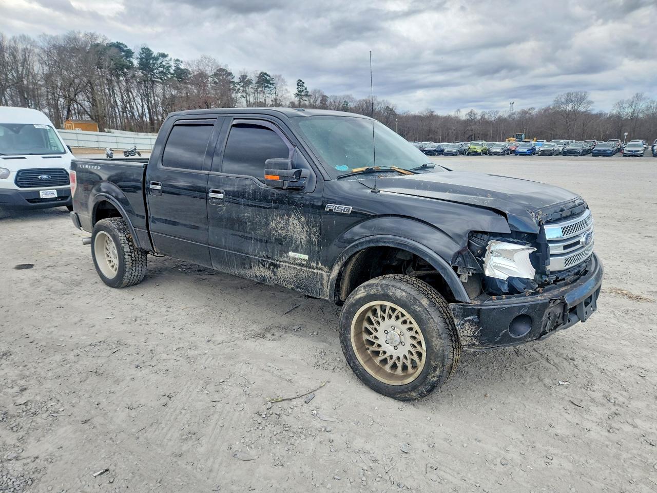 2014 FORD F150 SUPERCREW photo 10
