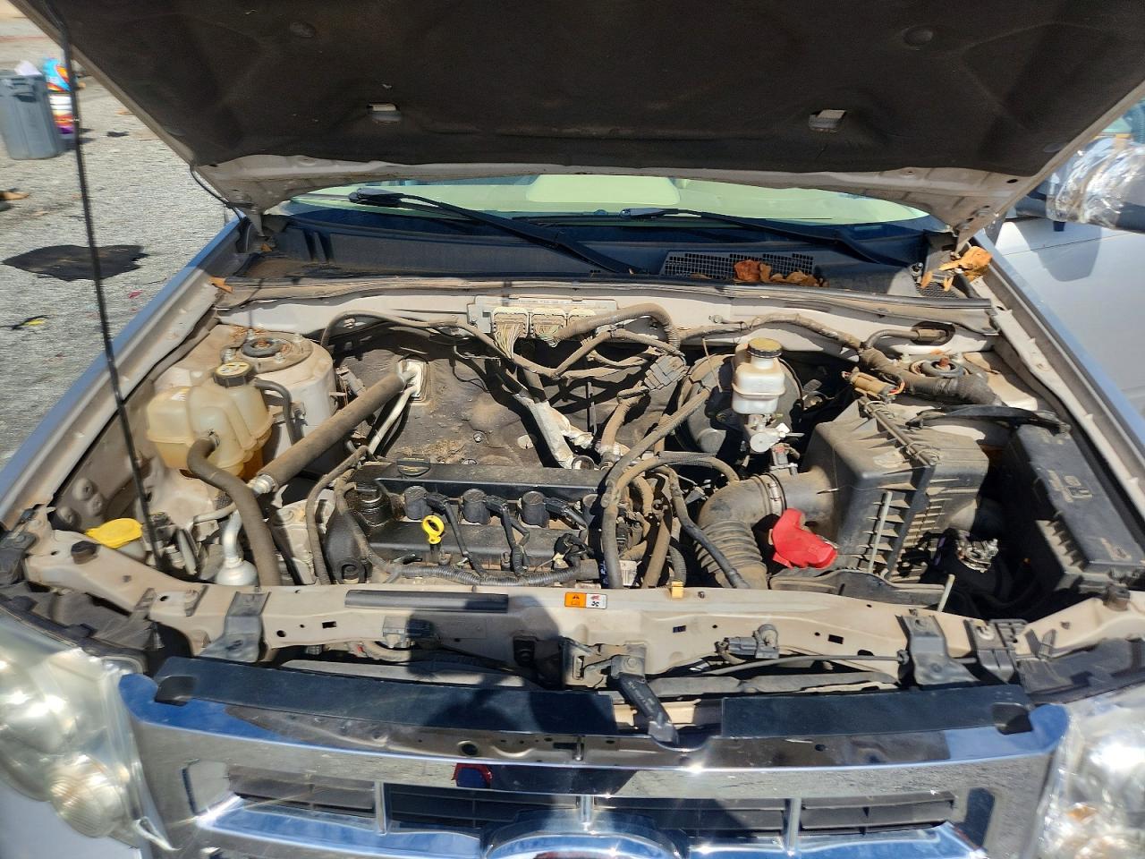 2010 FORD ESCAPE XLT photo 12