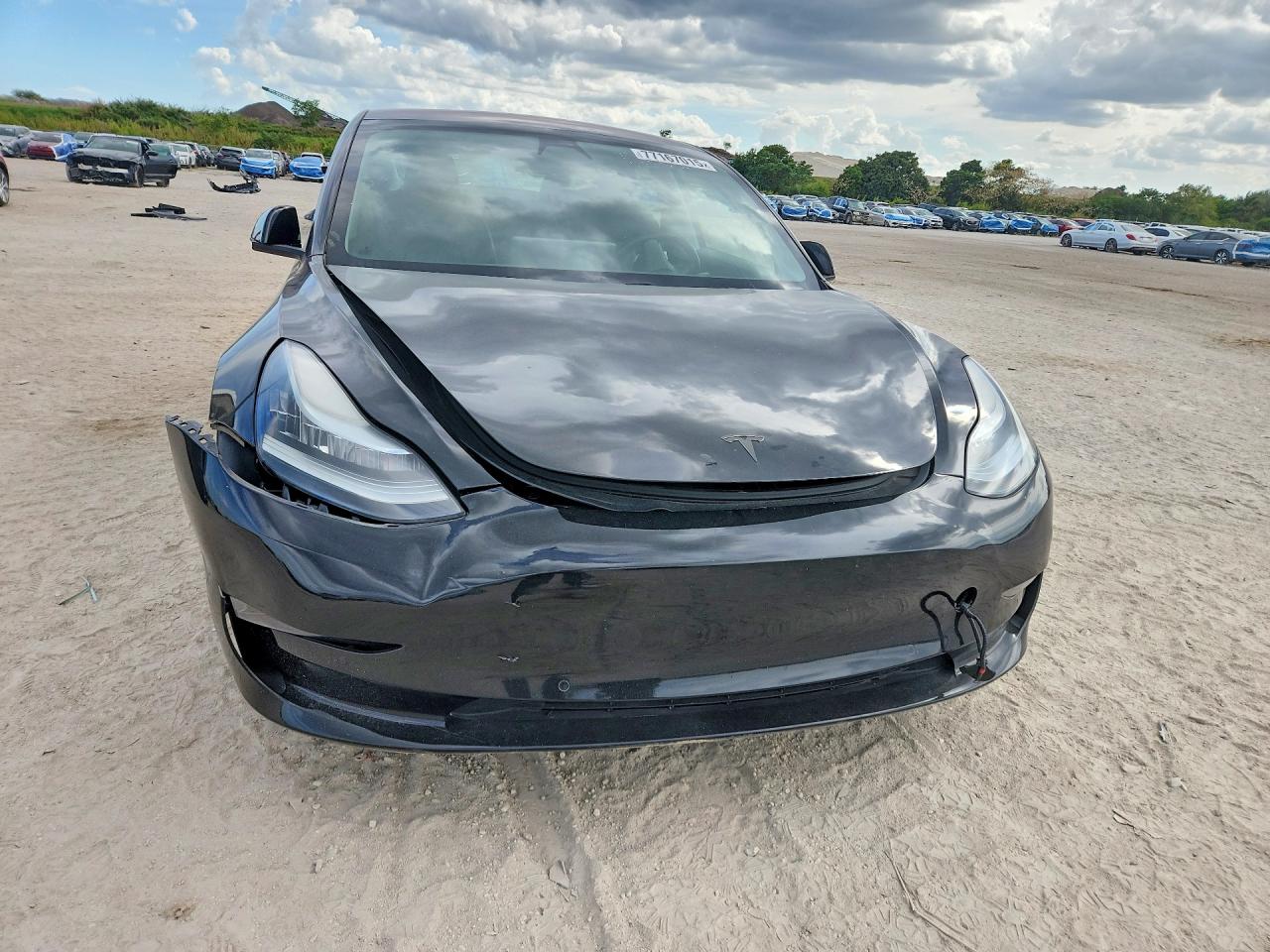 2019 TESLA MODEL 3 photo 5