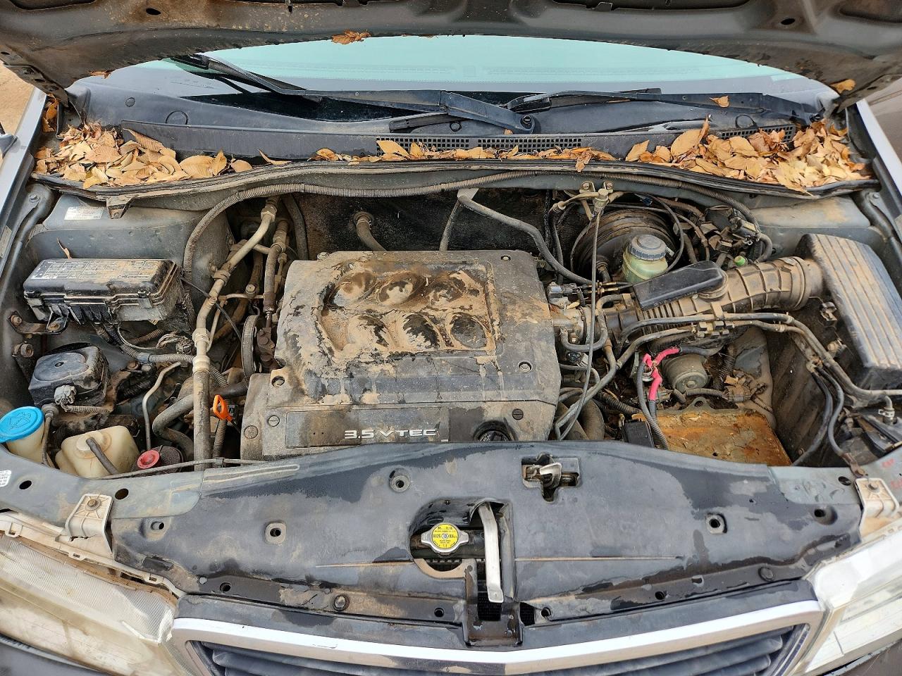 2001 HONDA ODYSSEY EX photo 11