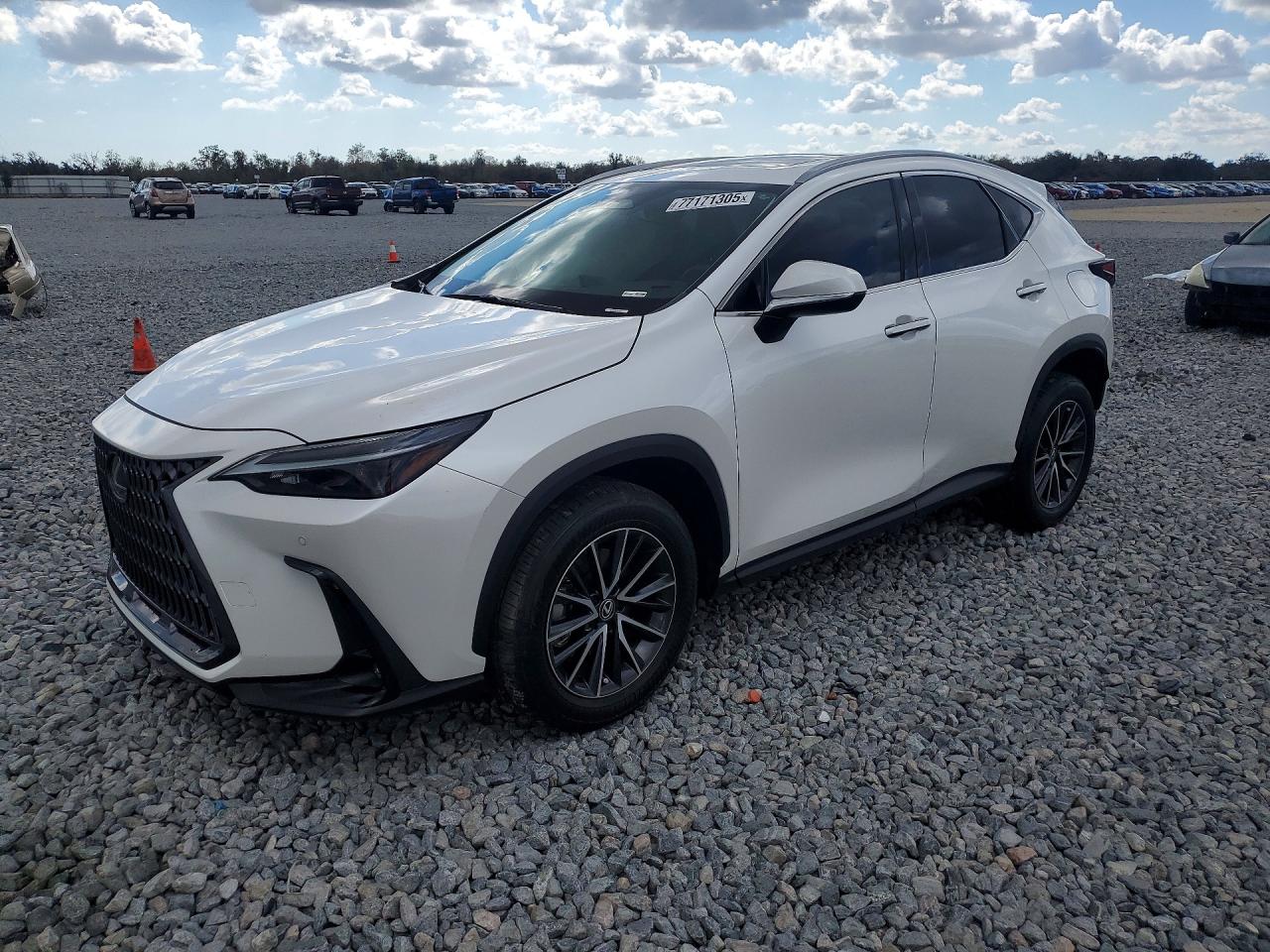 2024 LEXUS NX