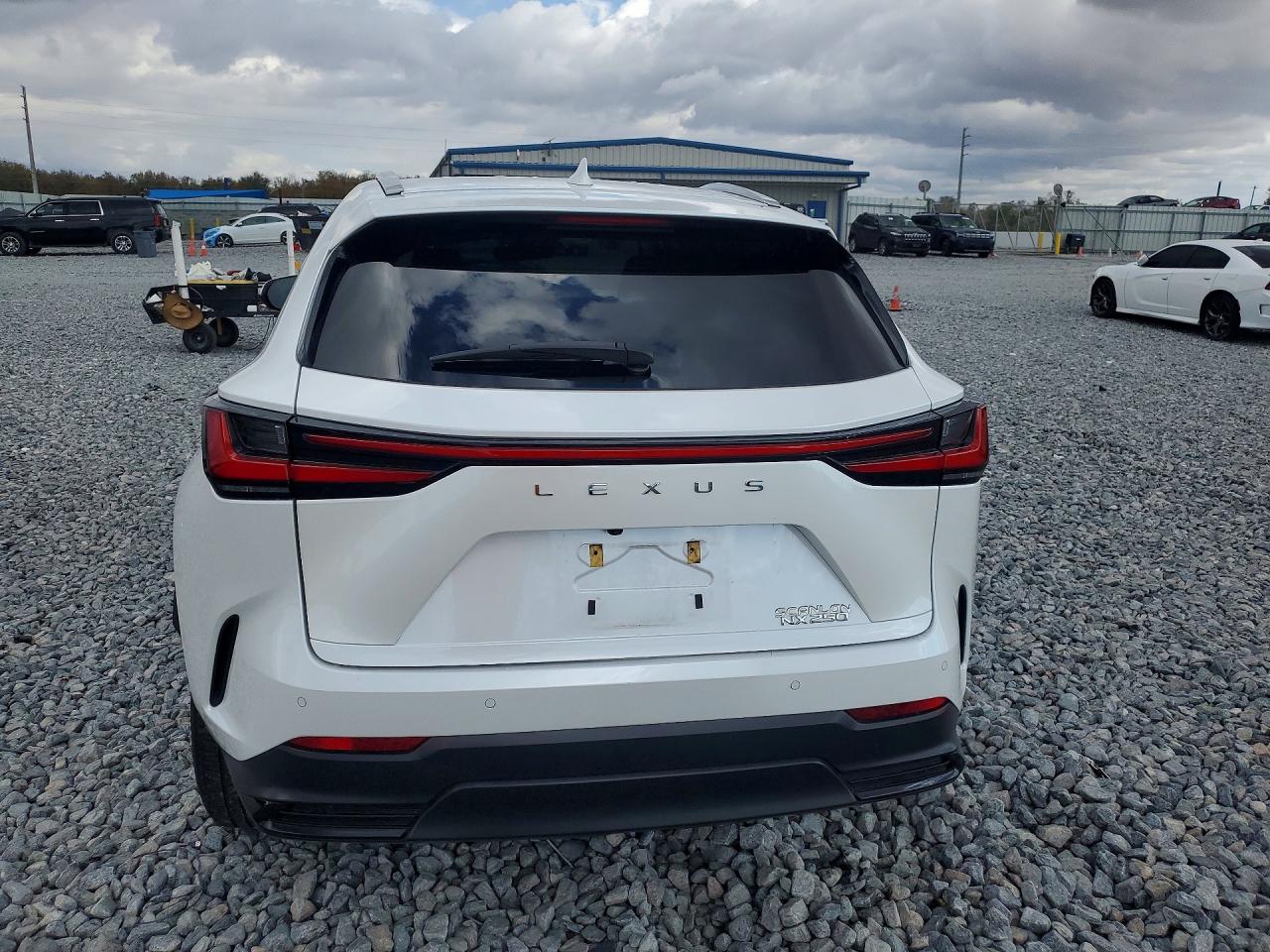 2024 LEXUS NX 250 PREMIUM photo 16