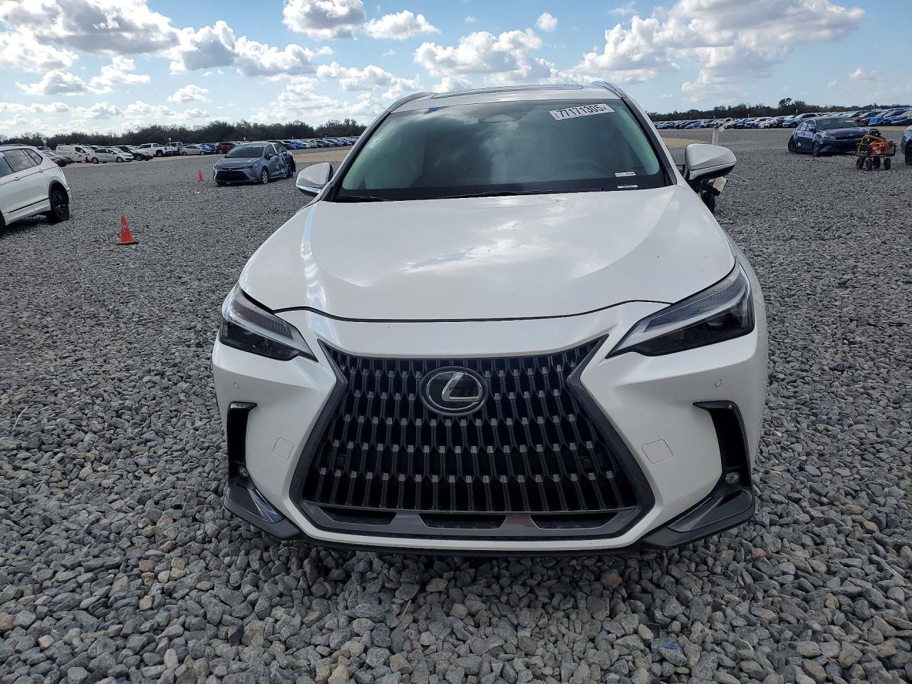 2024 LEXUS NX 250 PREMIUM photo 13