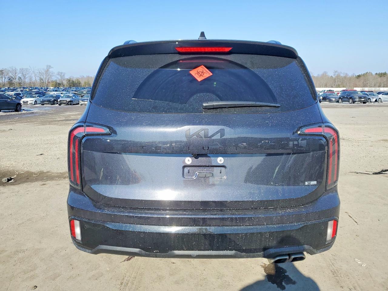 2025 KIA TELLURIDE SX photo 6