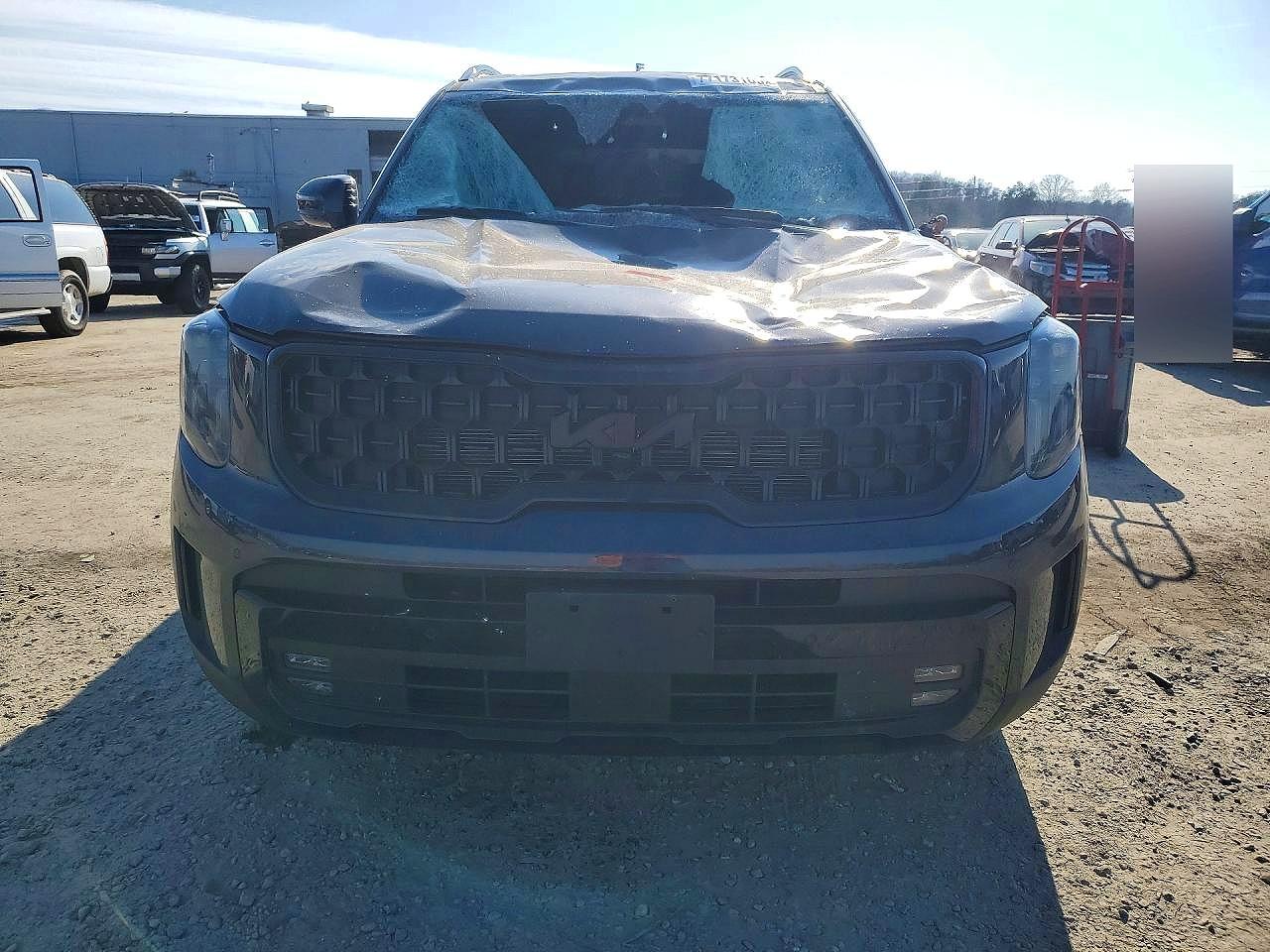 2025 KIA TELLURIDE SX photo 5
