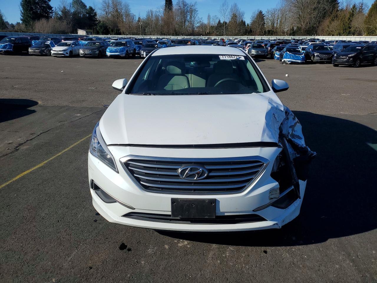 2016 HYUNDAI SONATA SE photo 5