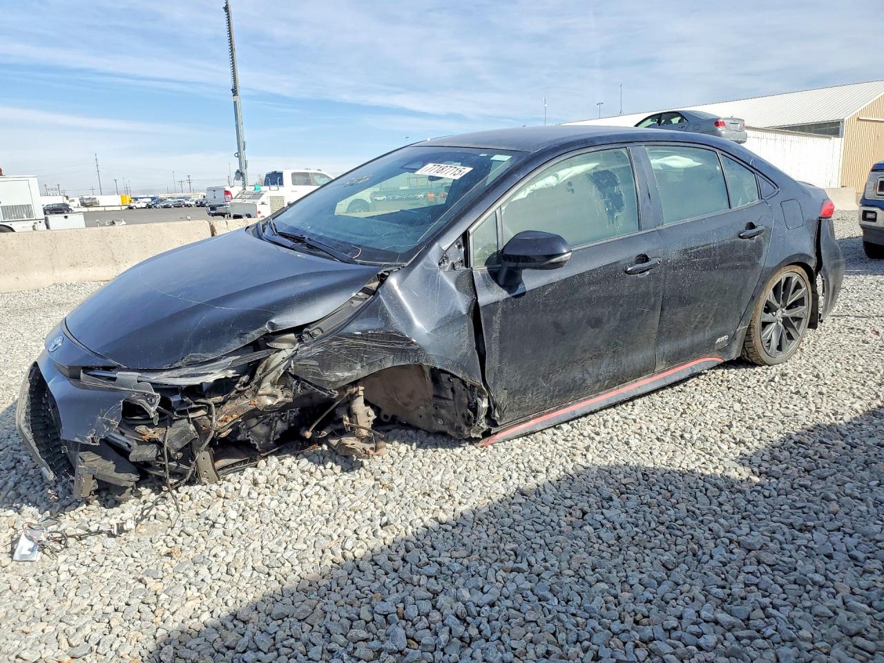 2023 TOYOTA COROLLA