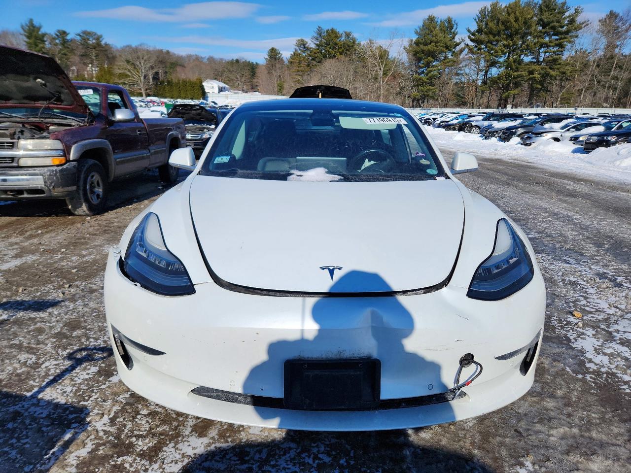 2019 TESLA MODEL 3 photo 13