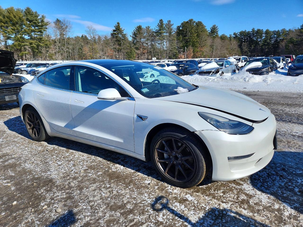 2019 TESLA MODEL 3 photo 10