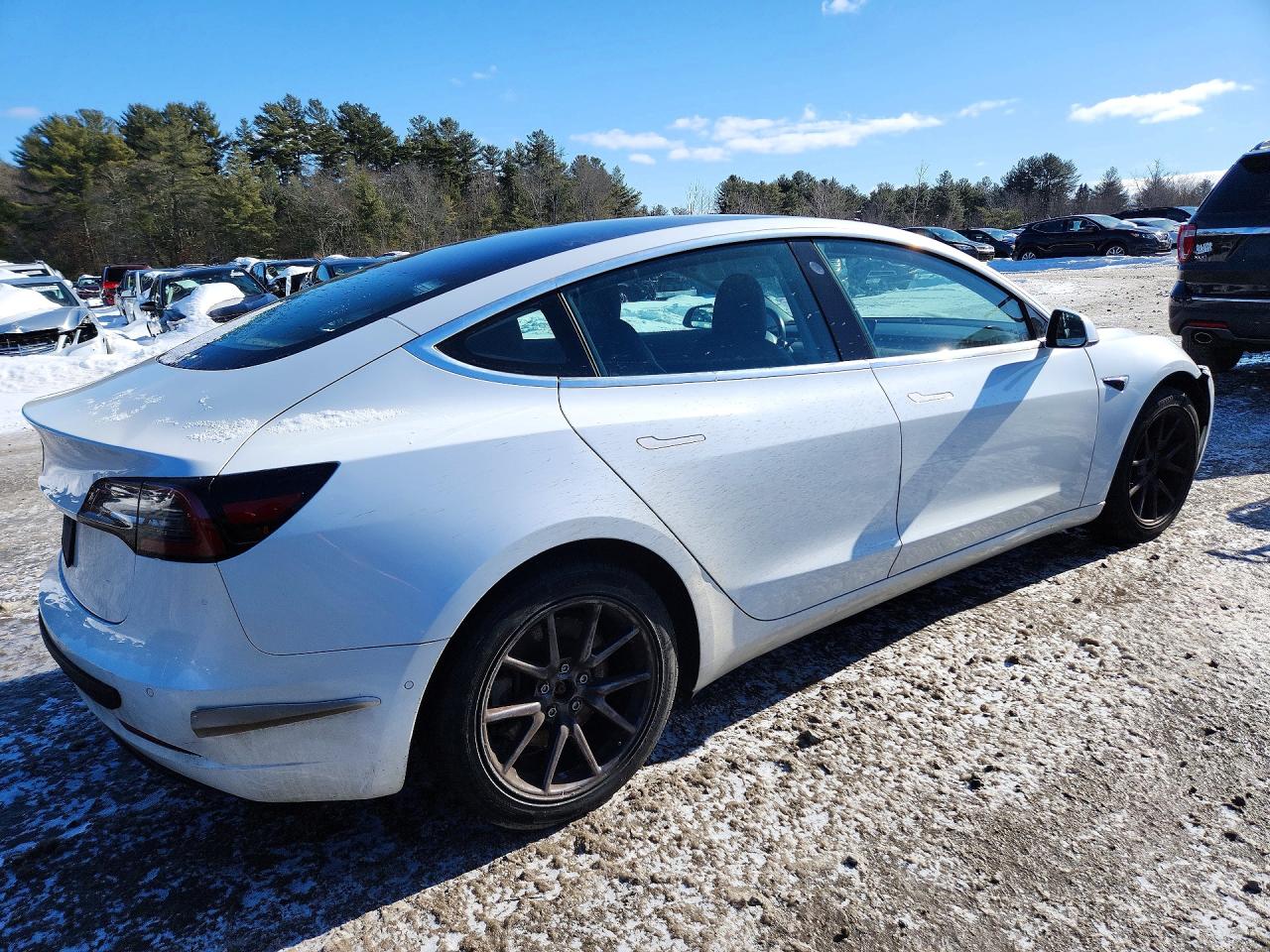 2019 TESLA MODEL 3 photo 7