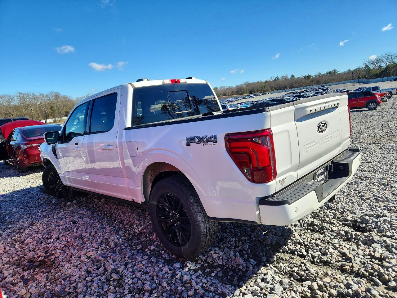 2025 FORD F150 PLATINUM photo 3