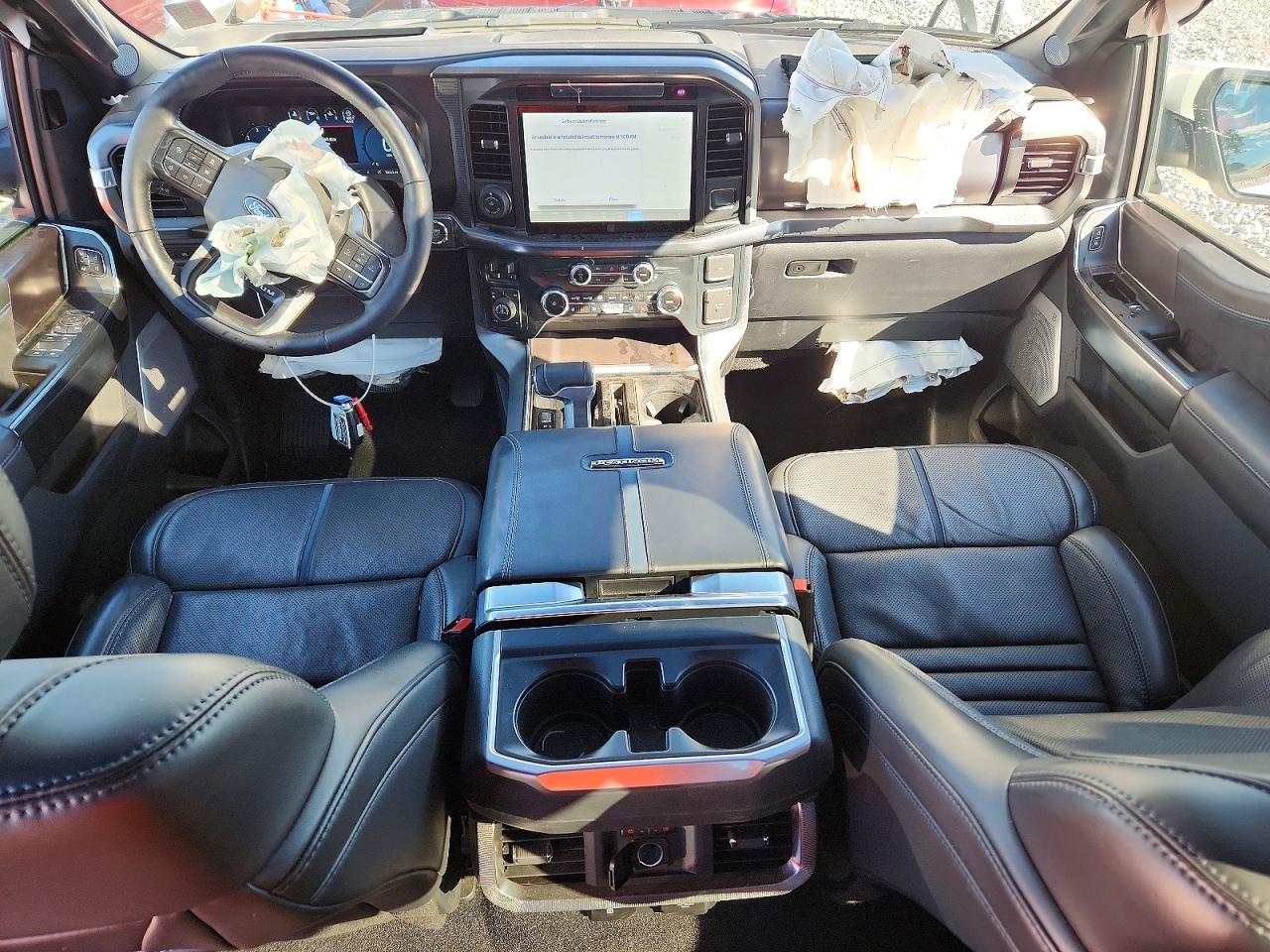 2025 FORD F150 PLATINUM photo 15