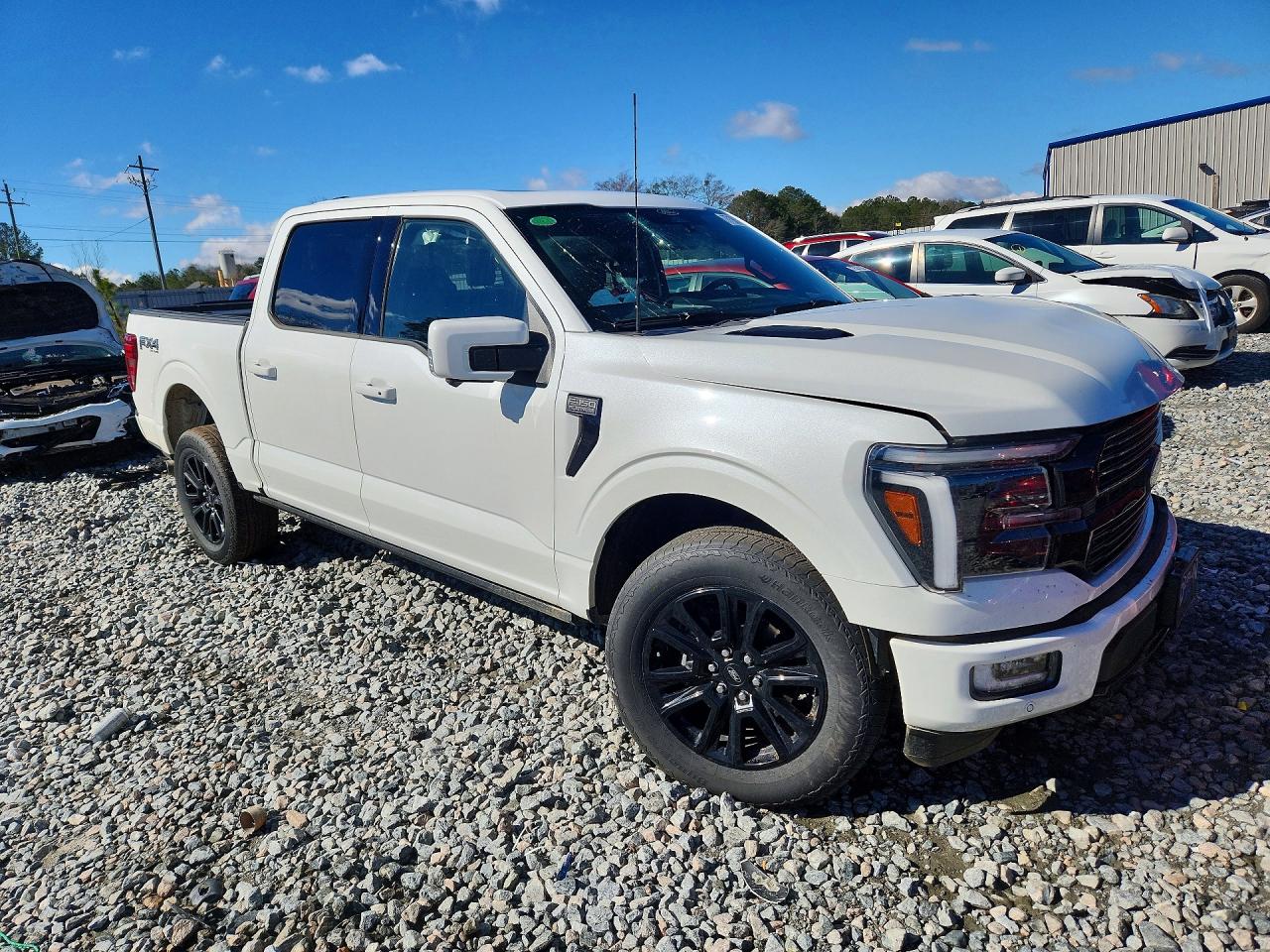 2025 FORD F150 PLATINUM photo 7