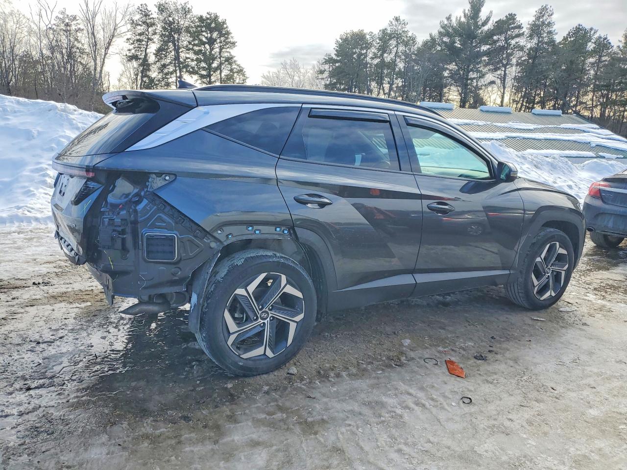 2023 HYUNDAI TUCSON LIMITED photo 5
