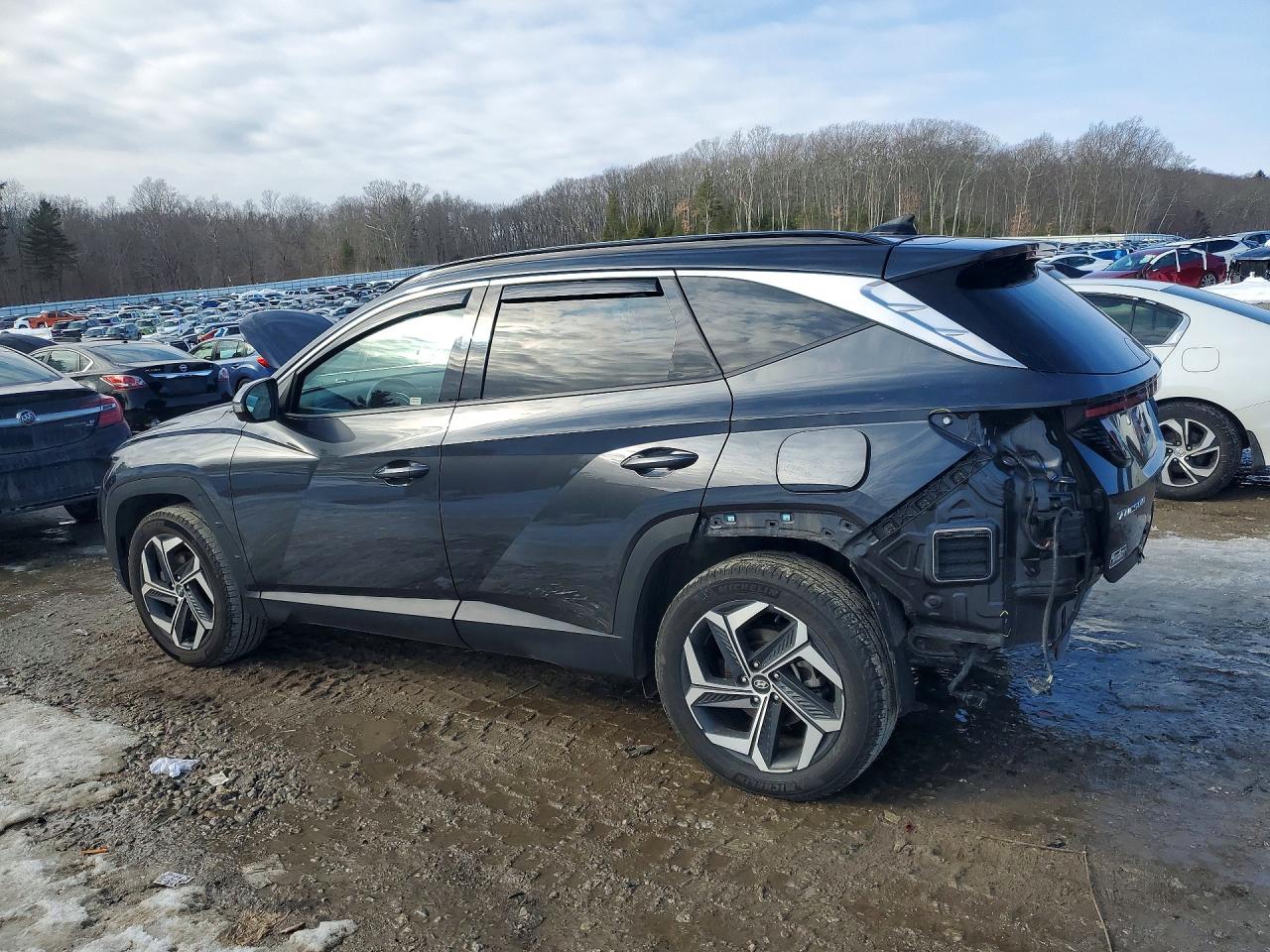 2023 HYUNDAI TUCSON LIMITED photo 3