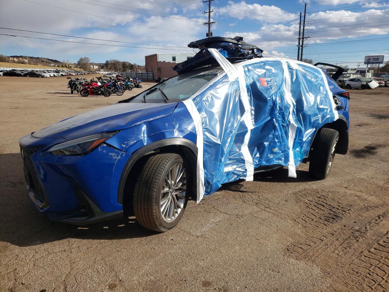 2024 LEXUS NX