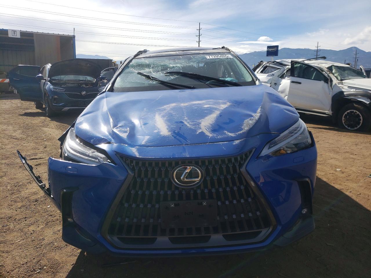 2024 LEXUS NX photo 5