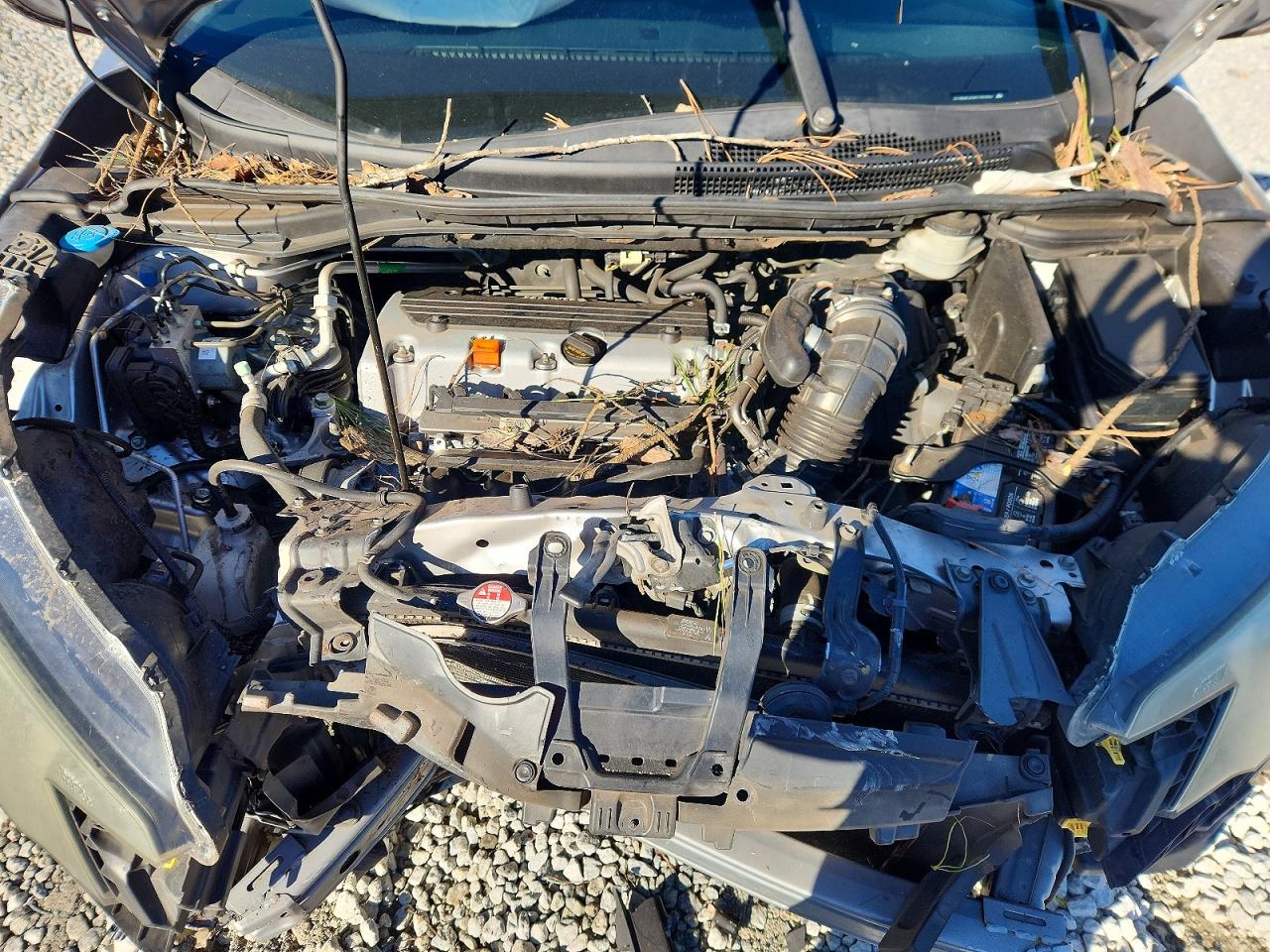 2014 HONDA CR-V EX photo 11