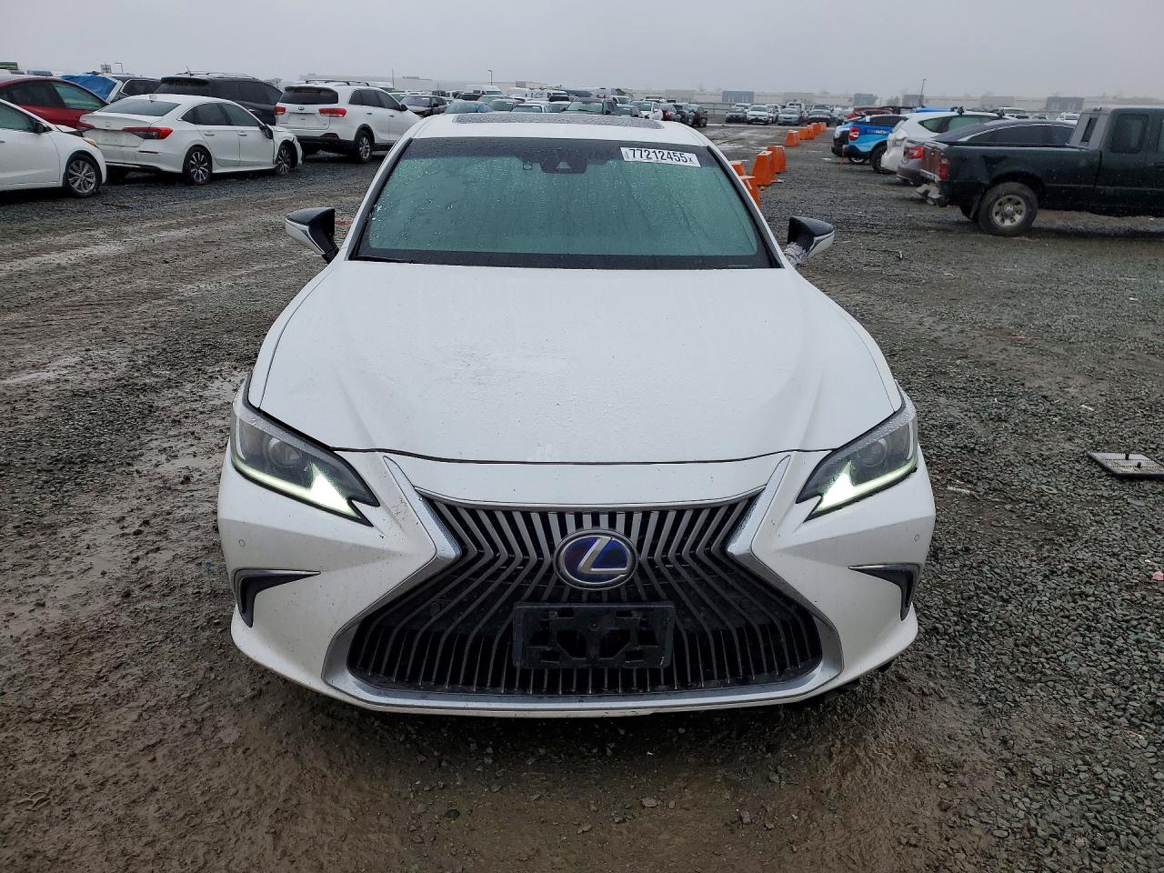2020 LEXUS ES 300H photo 5