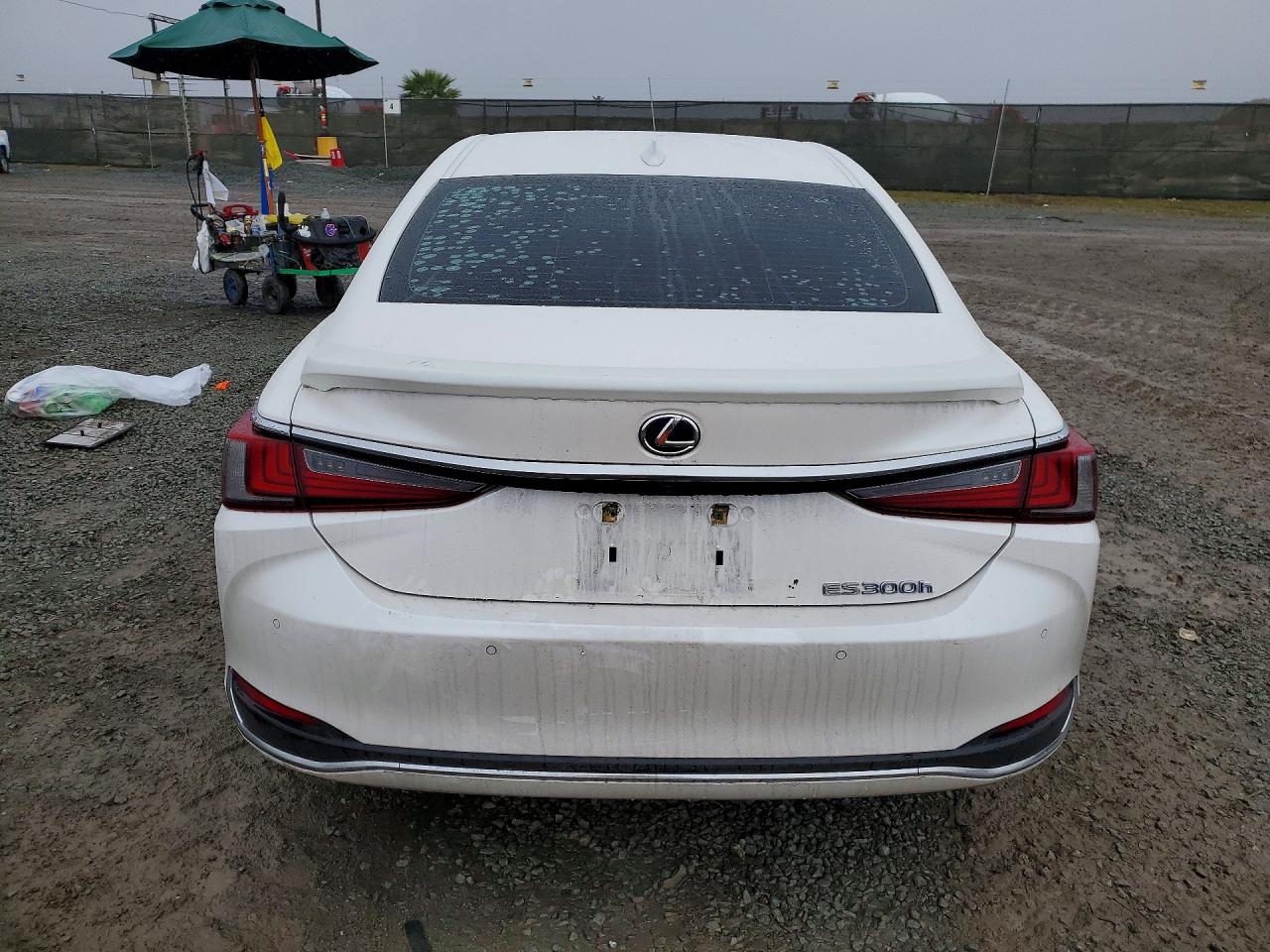 2020 LEXUS ES 300H photo 6