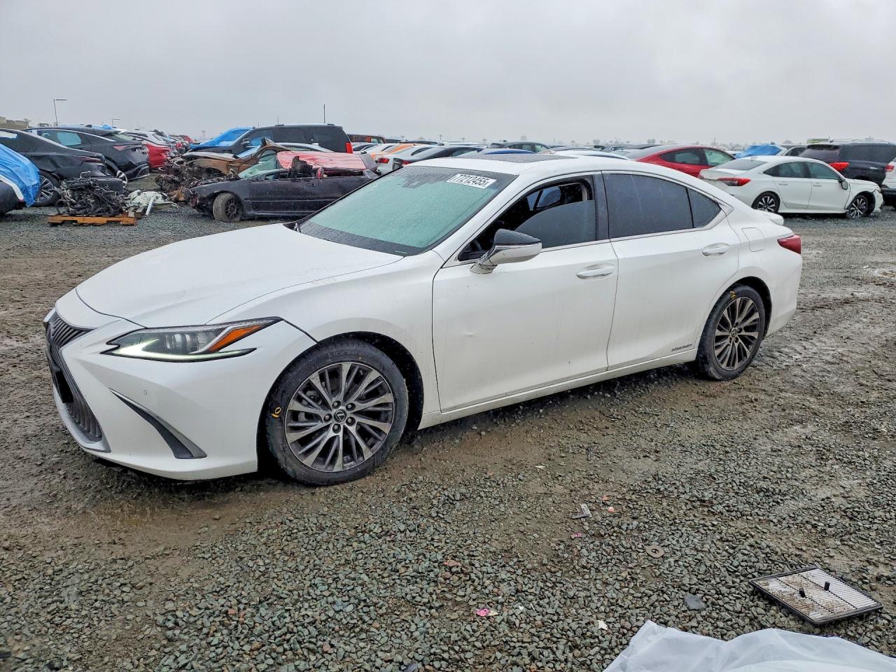 2020 LEXUS ES