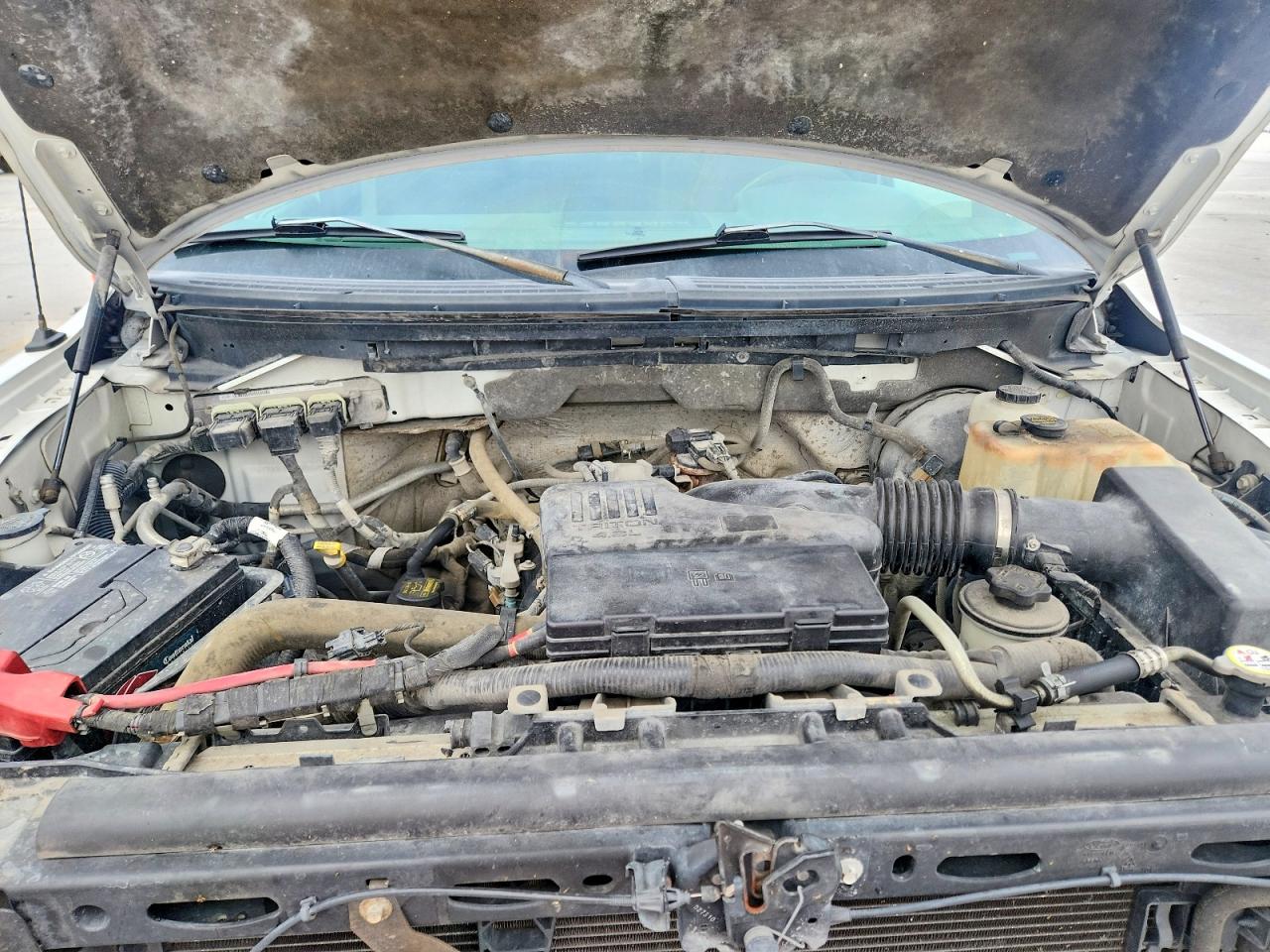 2010 FORD F150 photo 21
