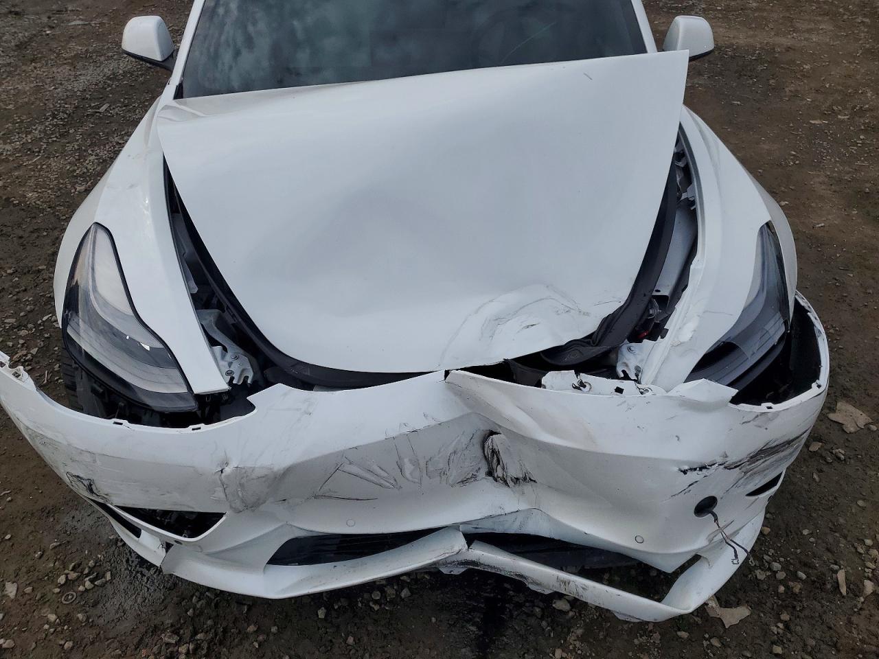 2022 TESLA MODEL 3 photo 31
