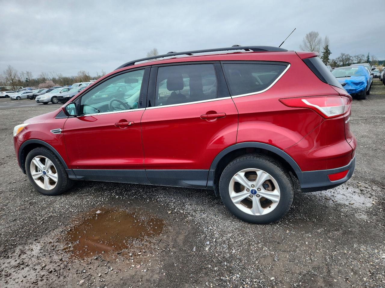 2014 FORD ESCAPE SE photo 2
