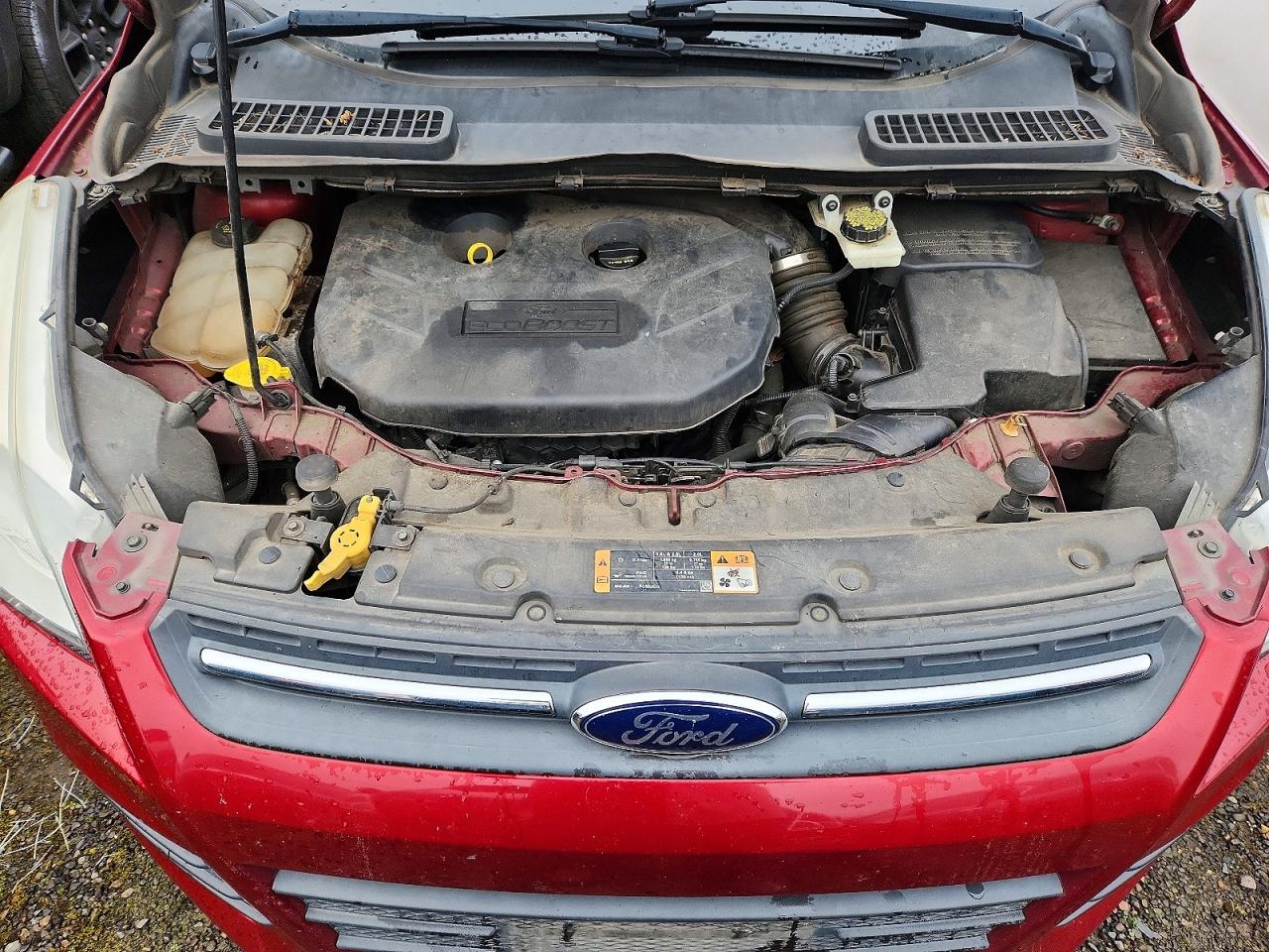 2014 FORD ESCAPE SE photo 11