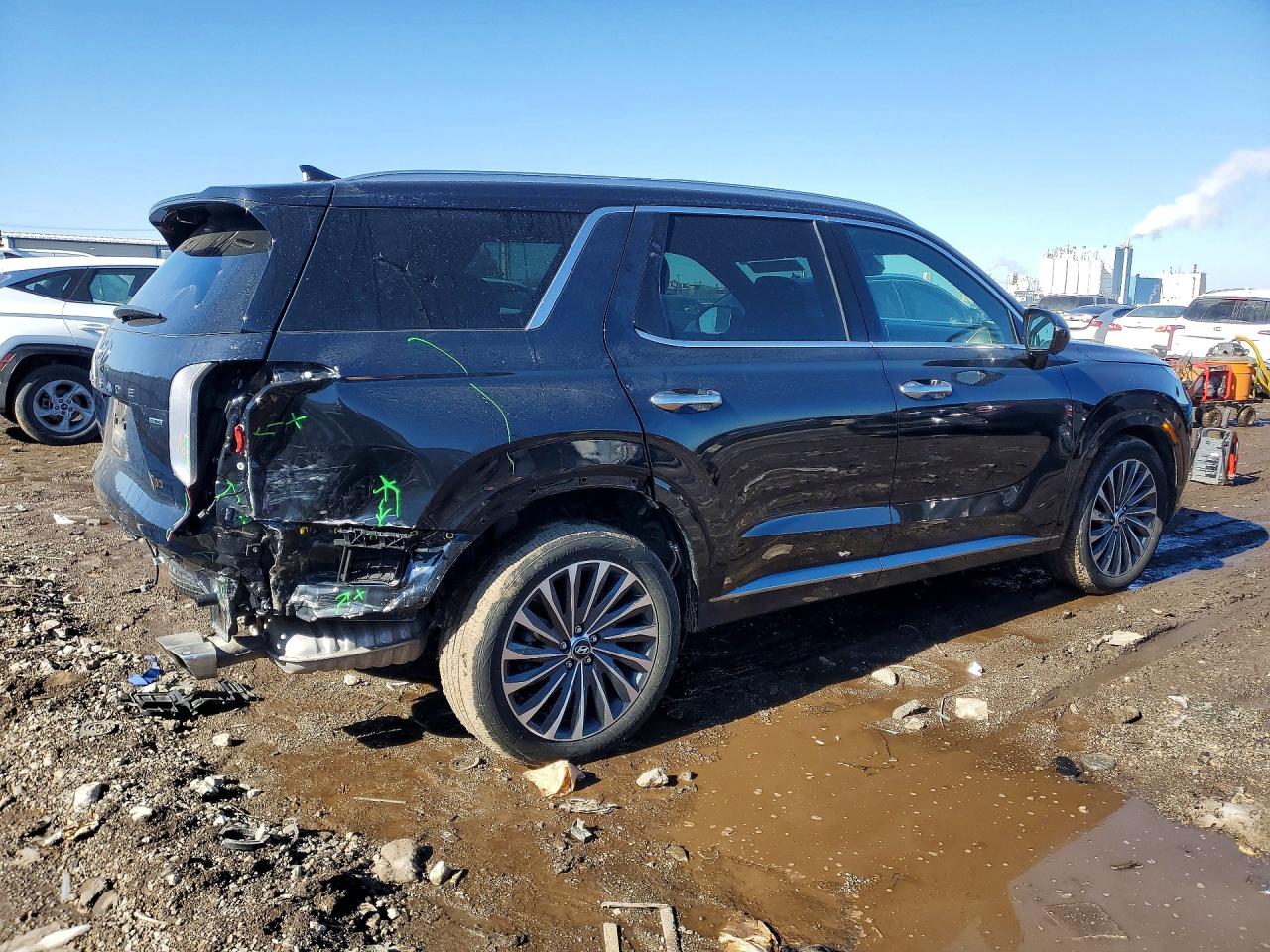 2024 HYUNDAI PALISADE CALLIGRAPHY photo 7