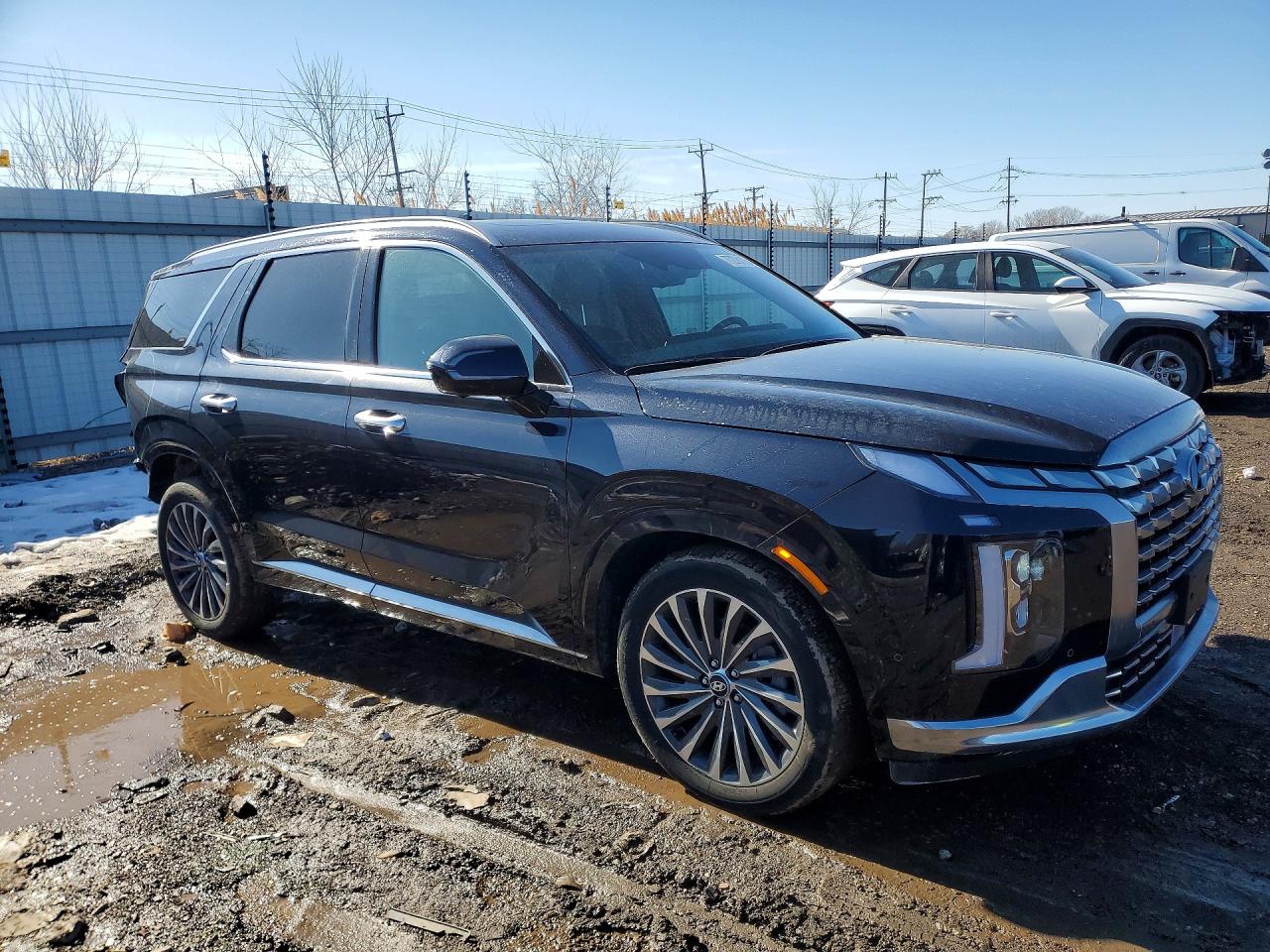 2024 HYUNDAI PALISADE CALLIGRAPHY photo 10