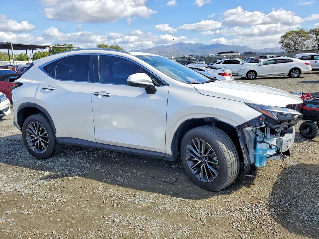2024 LEXUS NX 350H BASE photo 4