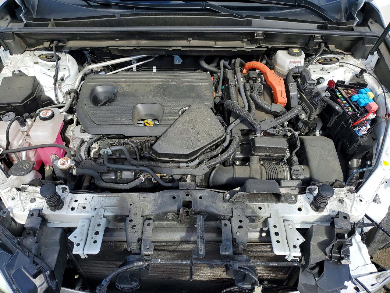 2024 LEXUS NX 350H BASE photo 12