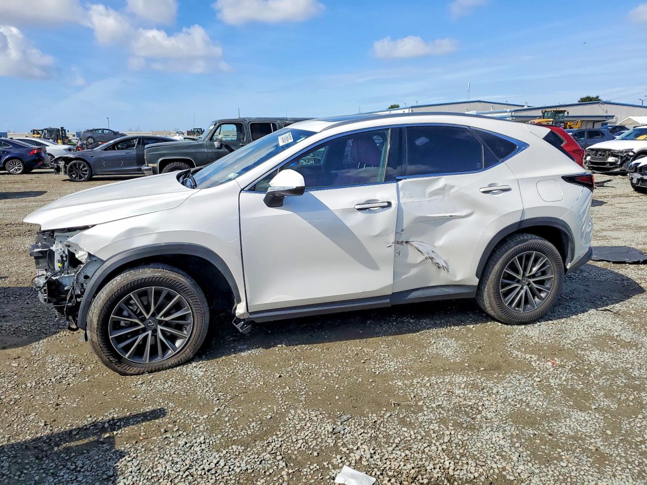 2024 LEXUS NX