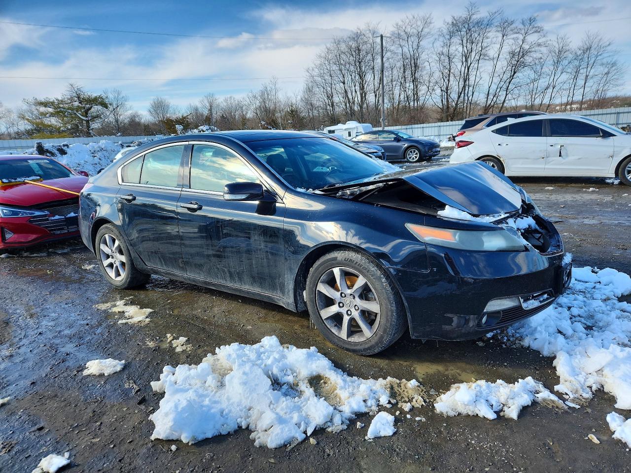 2013 ACURA TL photo 10