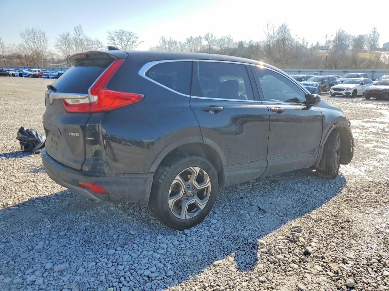 2019 HONDA CR-V EXL photo 7