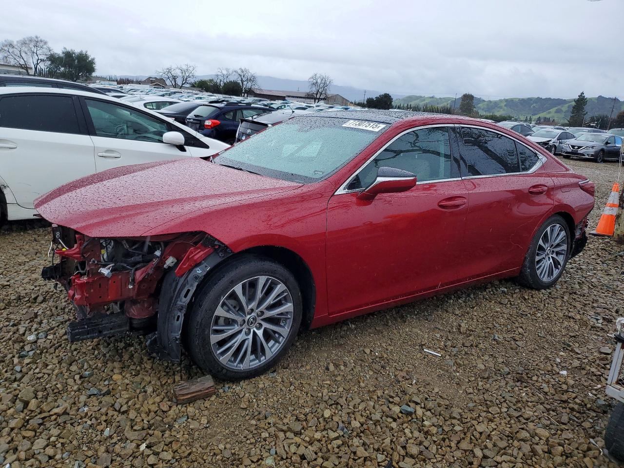 2019 LEXUS ES