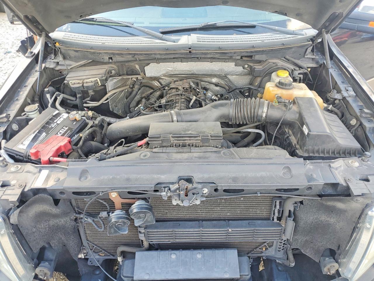 2014 FORD F150 SUPERCREW photo 11