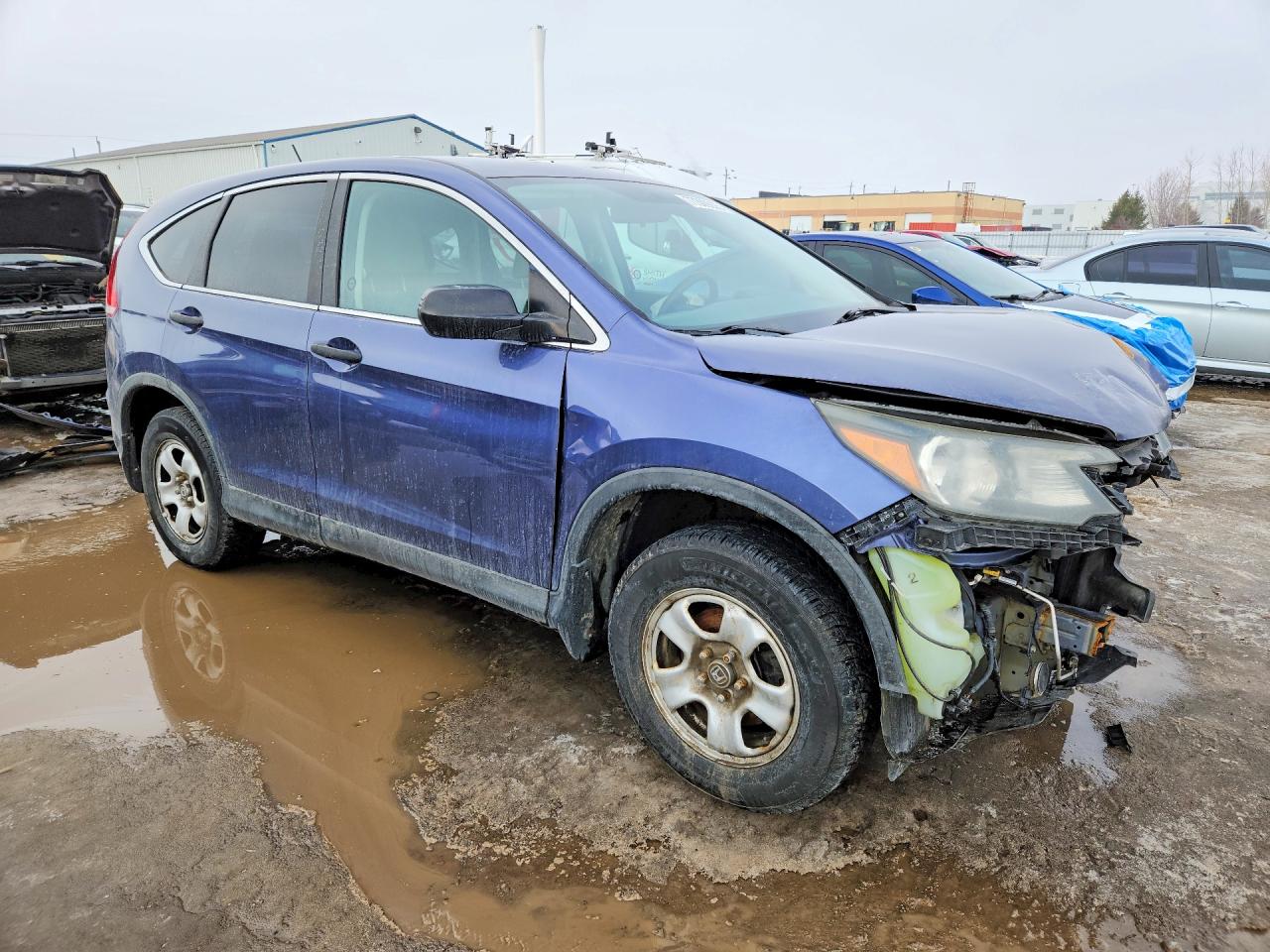 2014 HONDA CR-V LX photo 10