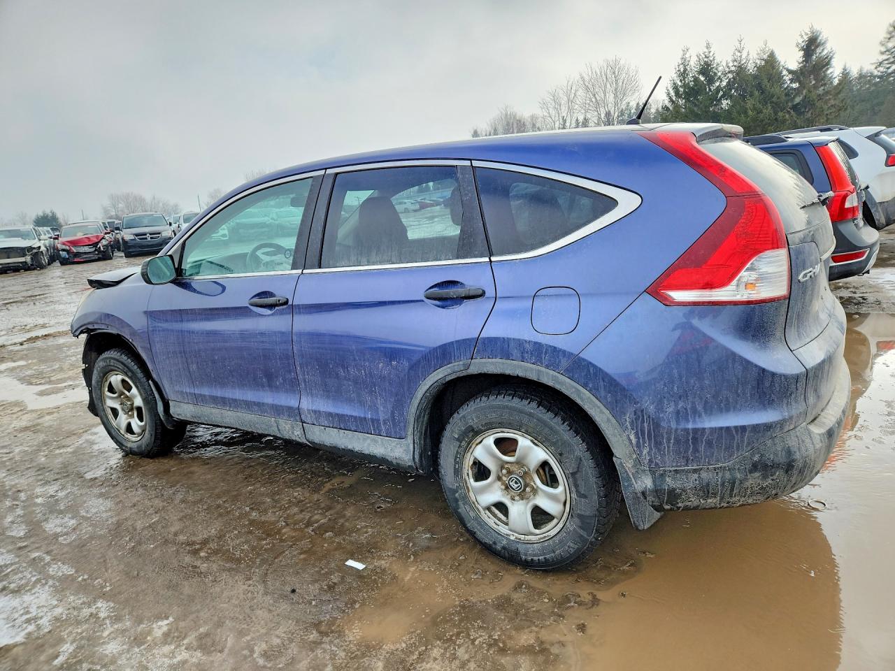 2014 HONDA CR-V LX photo 4