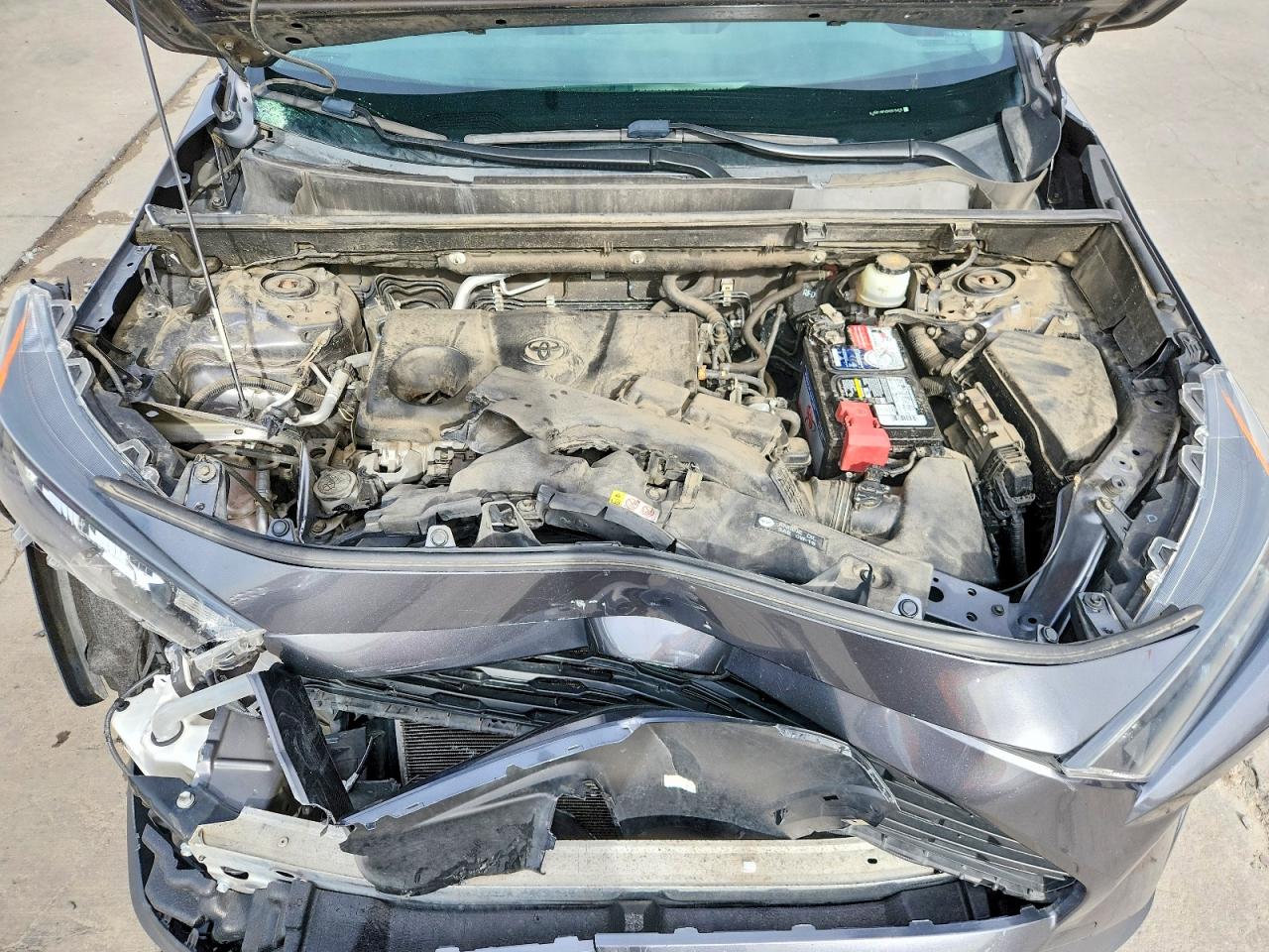 2019 TOYOTA RAV4 LE photo 12