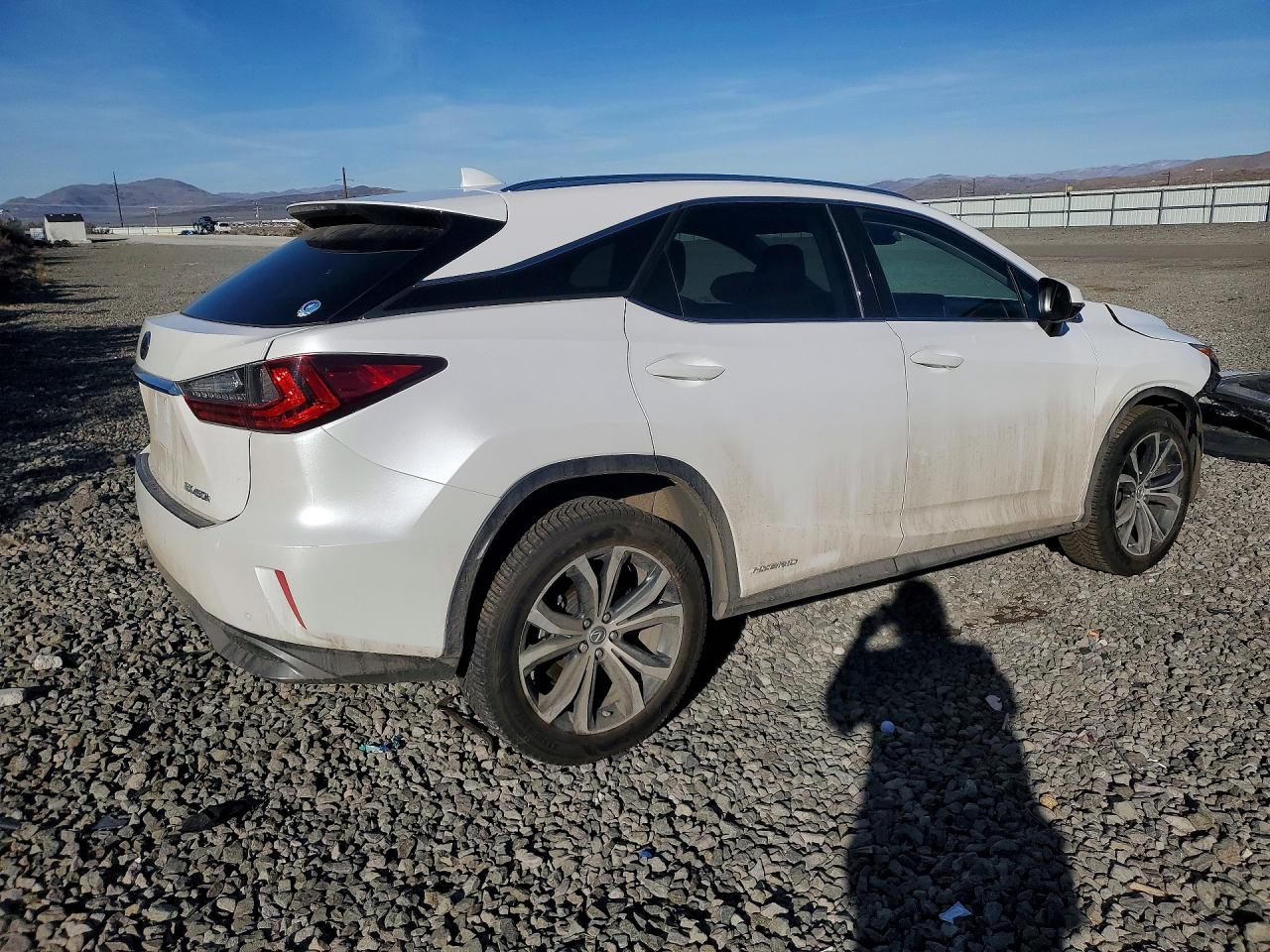 2019 LEXUS RX 450H BASE photo 5