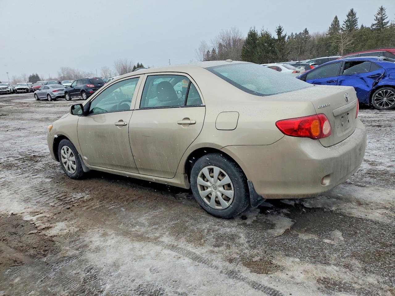 2009 TOYOTA COROLLA BASE photo 3