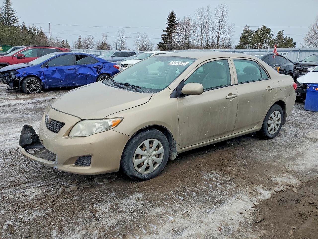2009 TOYOTA COROLLA