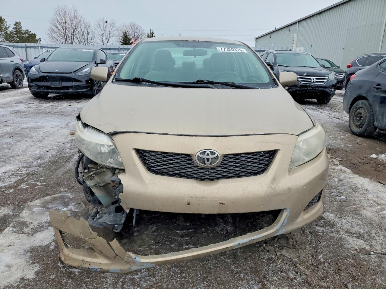 2009 TOYOTA COROLLA BASE photo 9