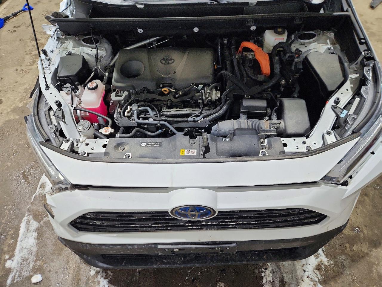 2024 TOYOTA RAV4 XLE photo 11