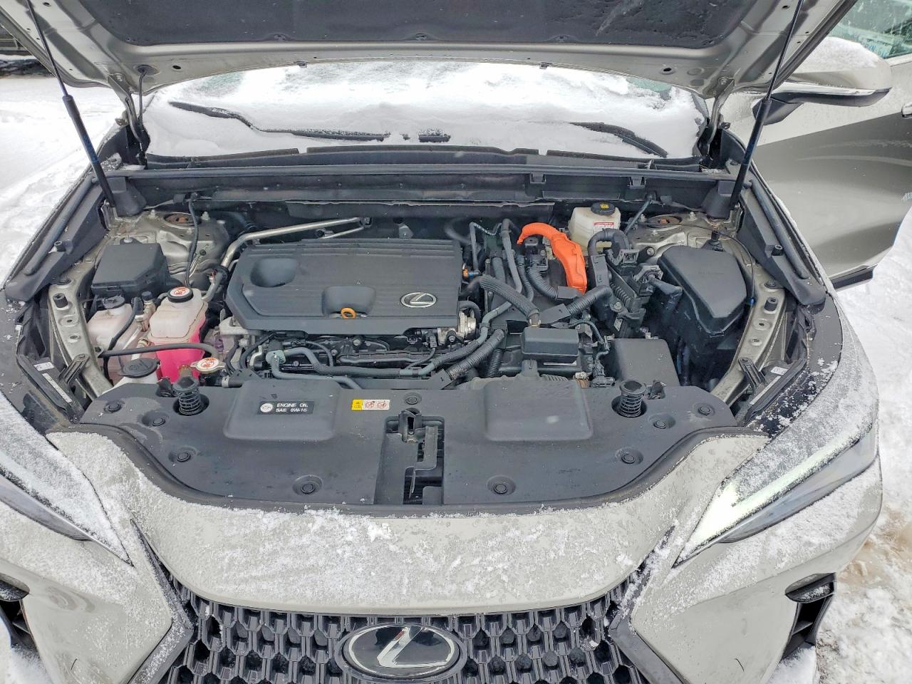 2023 LEXUS NX photo 23